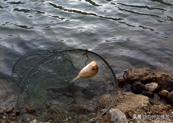 野钓心得,野钓心得分享大全