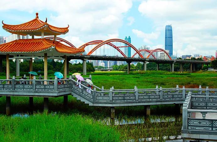 深圳免费公园哪里最好啊,深圳十大免费公园景点大全