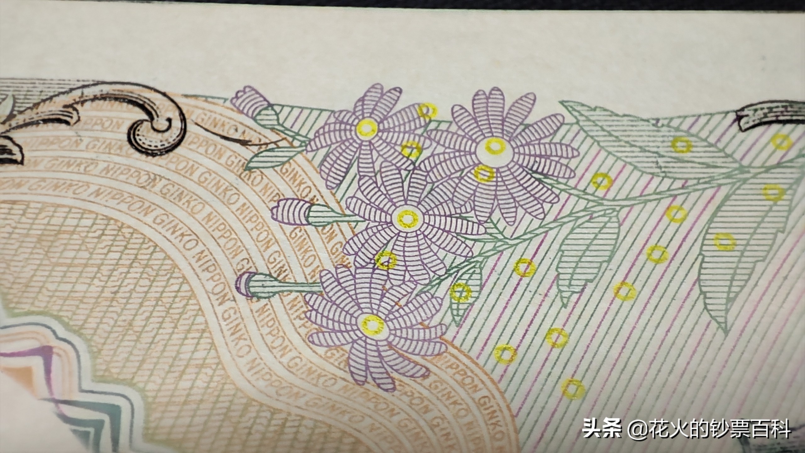 带你看日本文化,最有价值的日本纸币