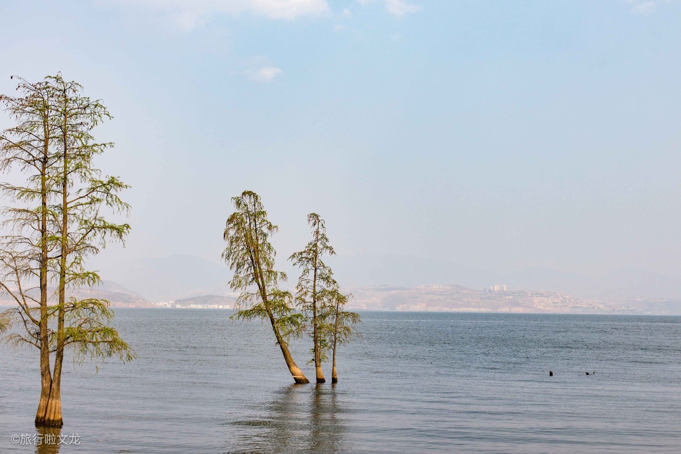 大理洱海龙龛码头旅游攻略,去大理洱海龙龛码头