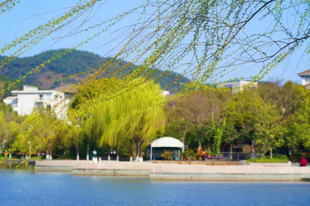 杭州美职学校风景,杭州美丽学校评选