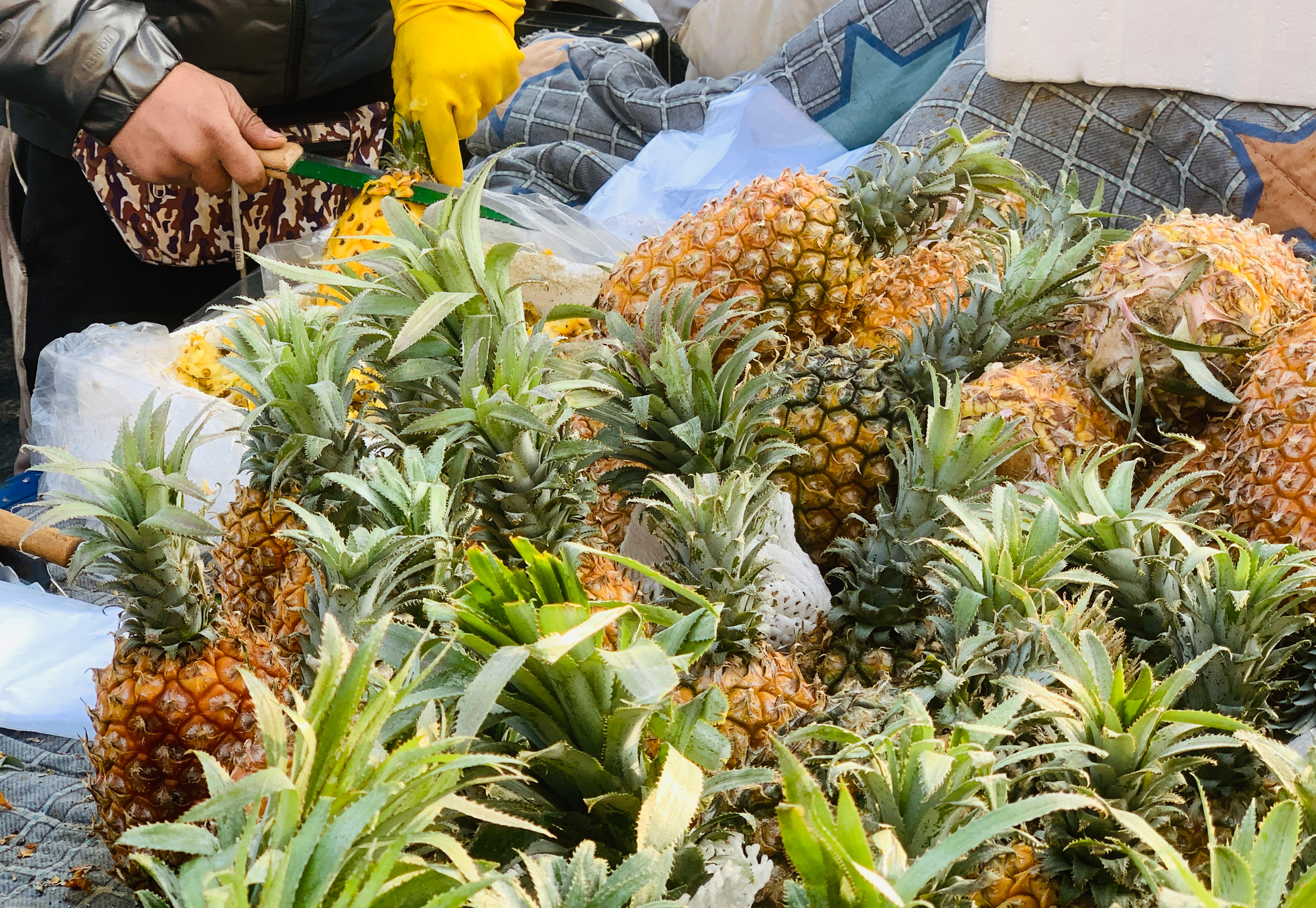 挑选菠萝什么样的又甜又好吃,怎么挑选菠萝又甜又不涩口
