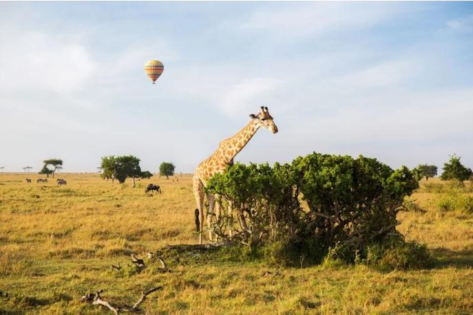 女孩7月大开始旅游，13岁走过25个省市、5大藏区和20多个国家
