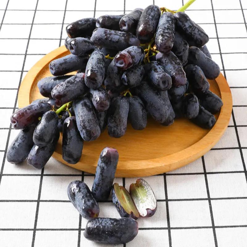 云南金手指葡萄产地,福建金手指葡萄