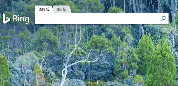 为什么必应搜索显示未找到,必应无法访问怎么办