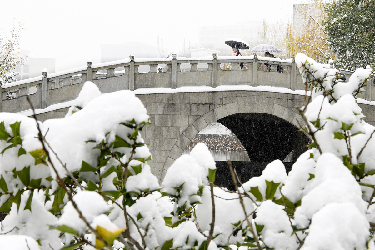 湖北武汉：雪润校园