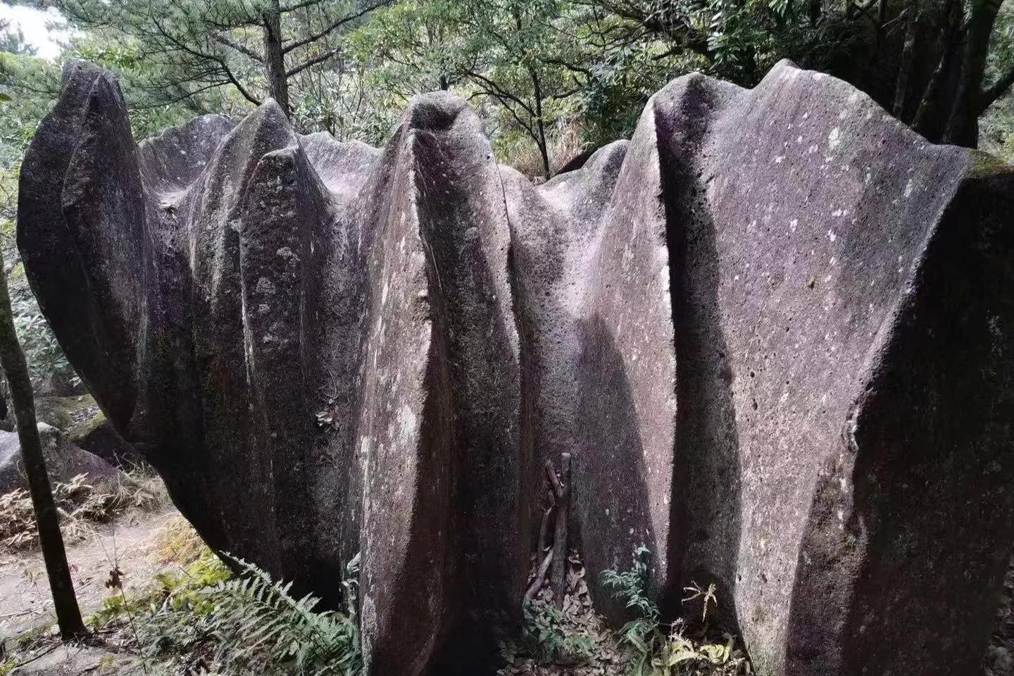 在十八股头山寻找“十二股头”