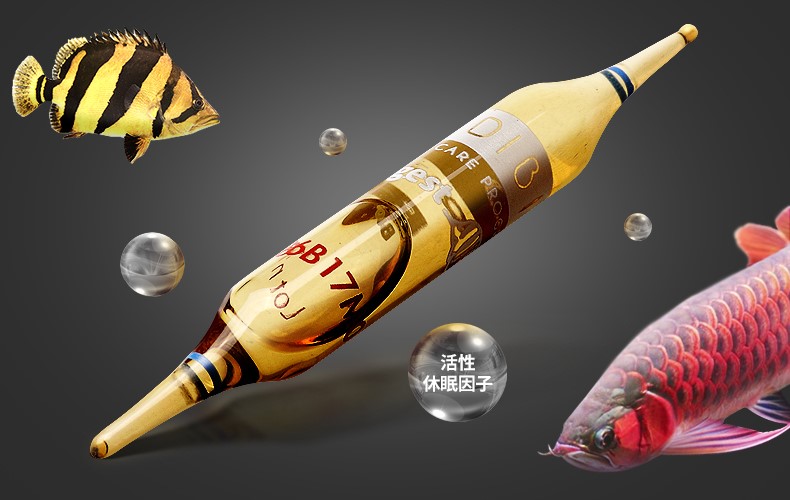 鱼缸里放酸奶有什么效果,鱼缸加酸奶能建立硝化细菌么