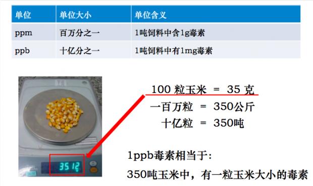 家禽养殖中如何避免霉菌毒素中毒,家禽霉菌的危害