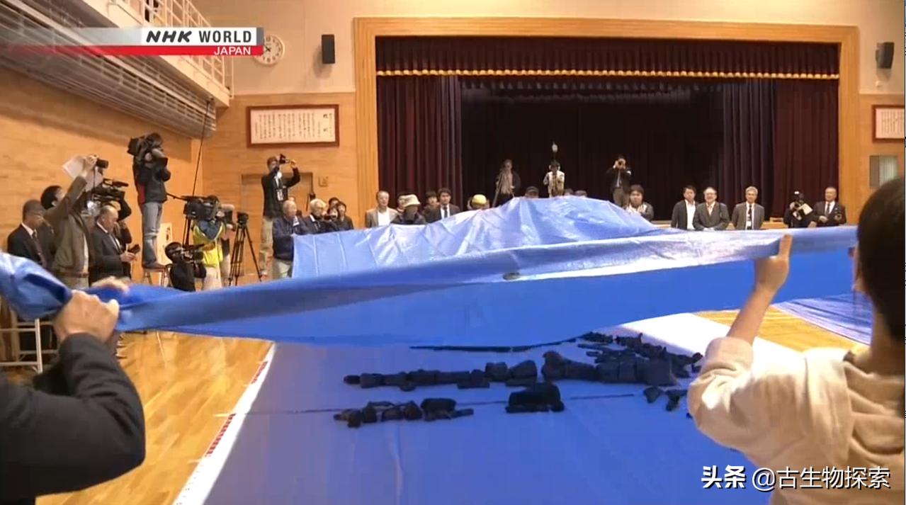 日本第一次在本土发现恐龙化石,发现最不完整的恐龙化石