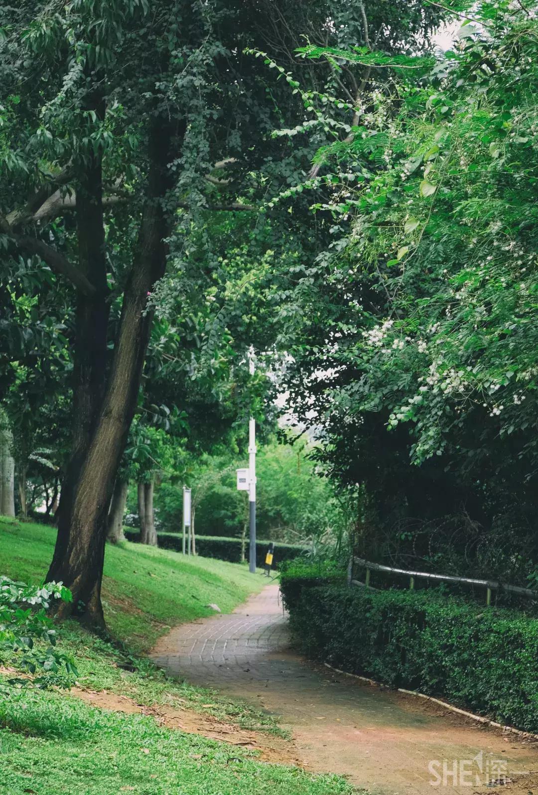 深圳市美美美,深圳最美免费水库