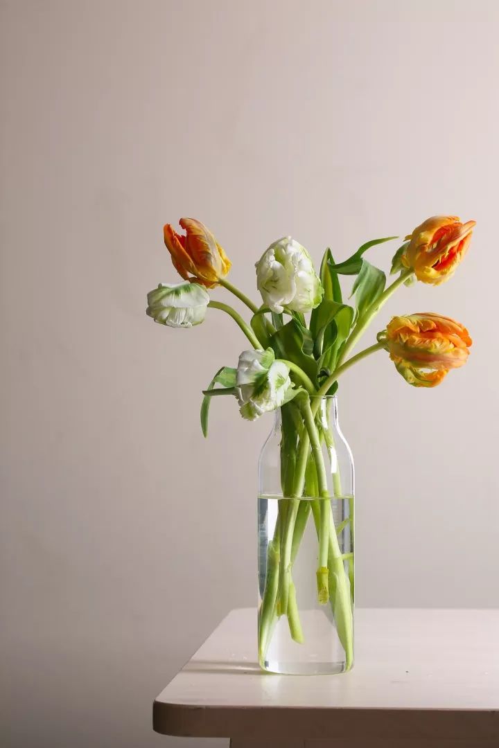 閮侀噾棣欑鐞冪殑鍏绘姢鏂规硶,姘村煿閮侀噾棣欏彂鑺藉悗鍏绘姢