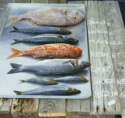 把所有口味都尝了一遍,买回来的鱼泥怎样加工才好吃