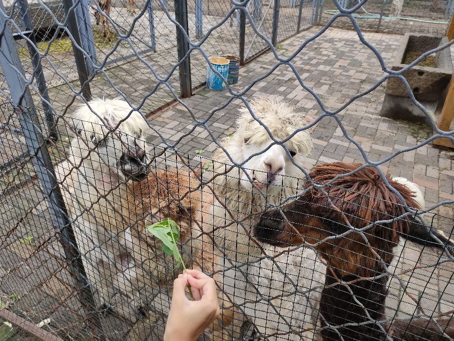 沈阳周边有山有水的免费景点,沈阳工业展览馆2021车展免费门票