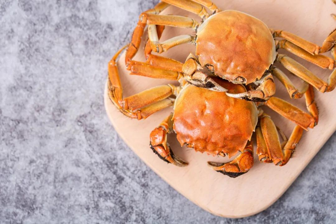 今日秋分|微凉秋雨浸润宛城