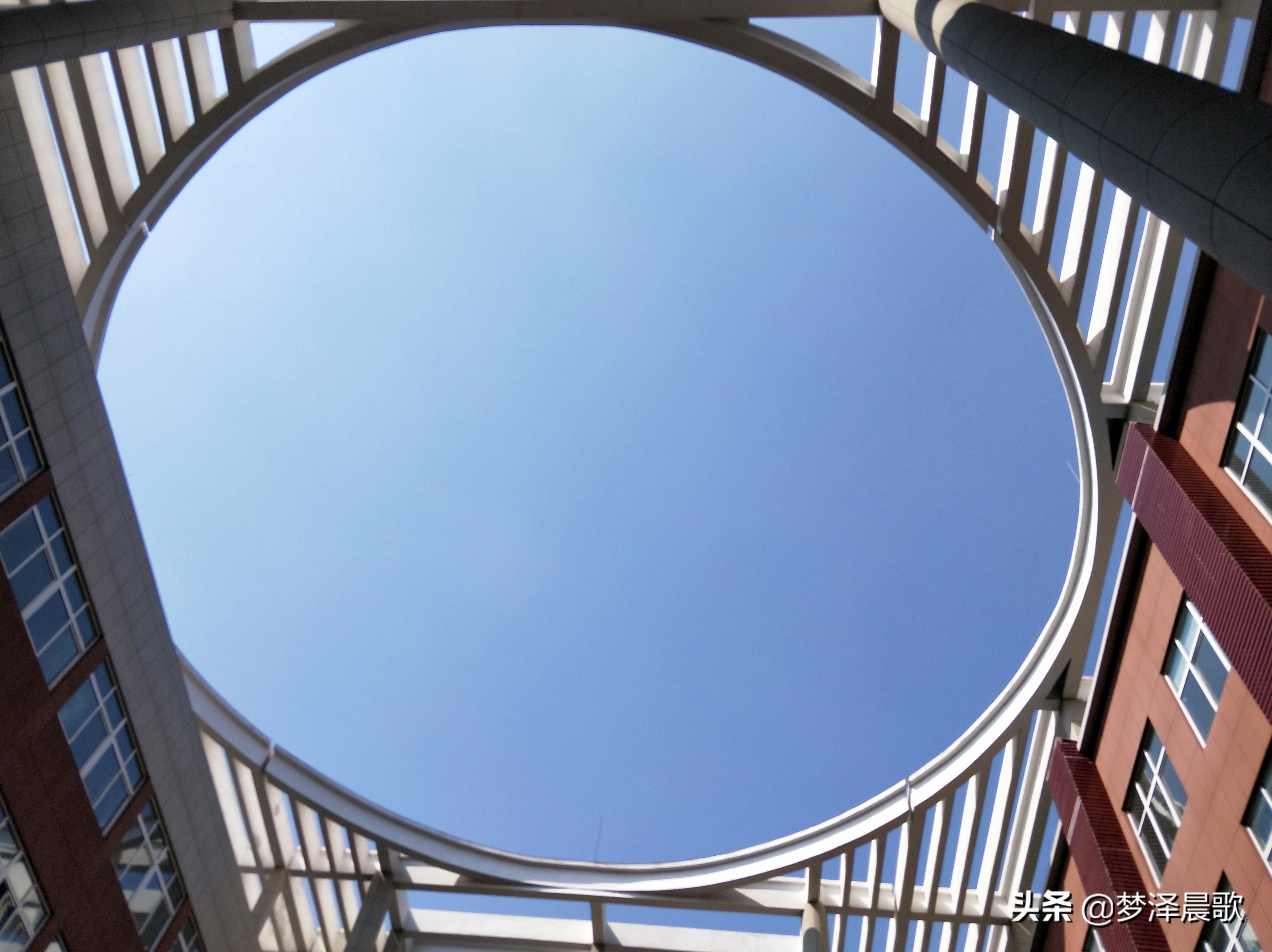 弘扬传统文化打造书香校园图片,传承红色基因创建绿美校园