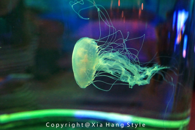 横店梦幻谷拍照景点,亲子游横店梦幻谷水世界