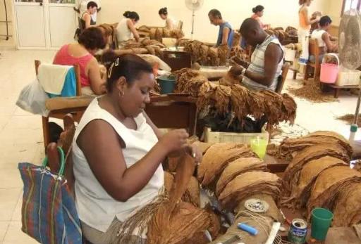 古巴雪茄为什么那么贵,古巴雪茄为什么备受欢迎