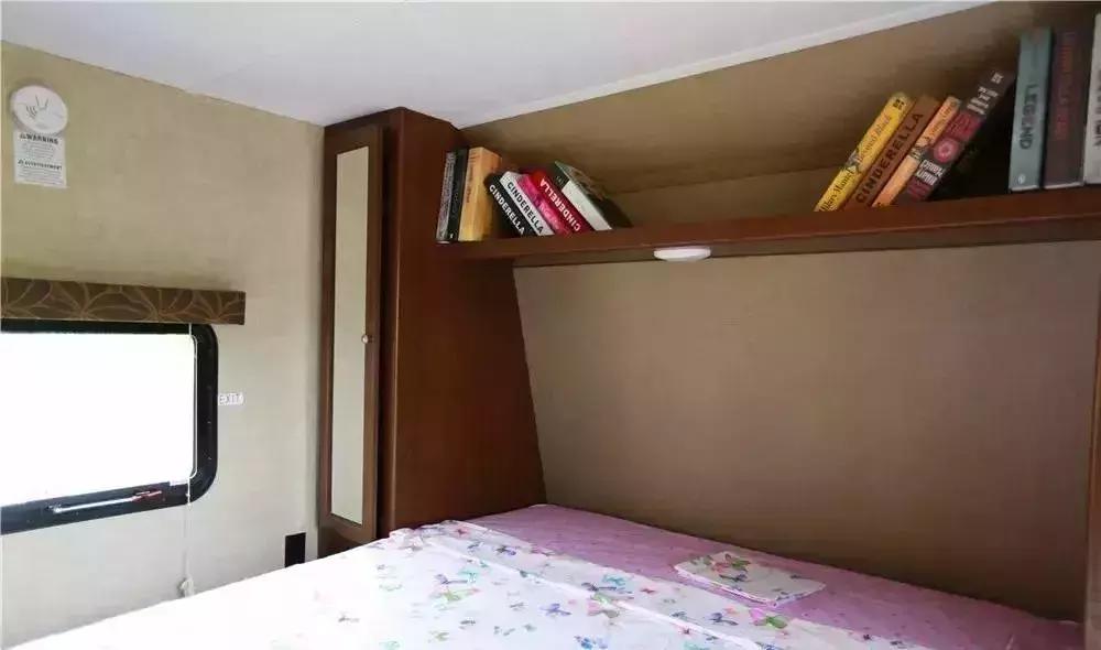 北京菊花花海,北京赏花好去处国际花港