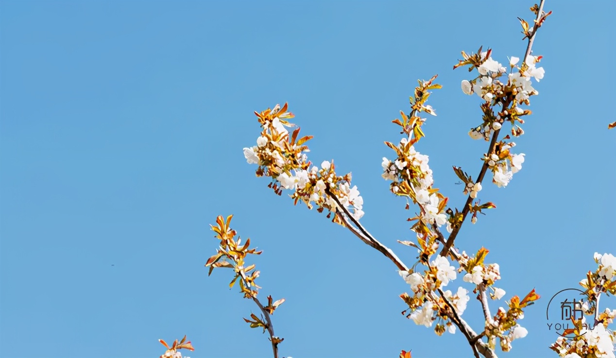 一个人的最高境界是什么藏于心,一个人的最高境界是悟透自己