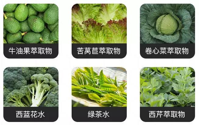 李小冉皮肤嫩白,李小冉肌肤白到发光