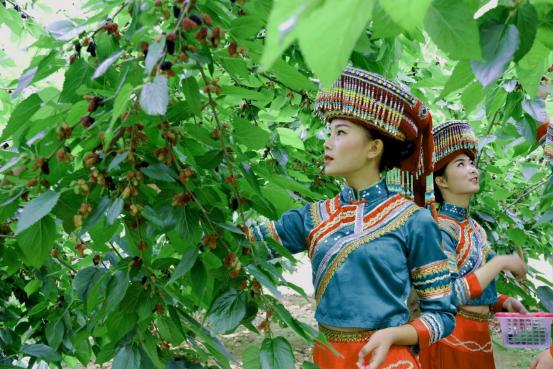 凉山州德昌县2021年重点项目,凉山打造康养城市