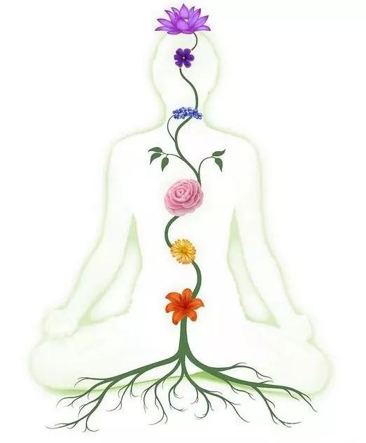 一位医生得了癌症的自述,一位癌症晚期患者