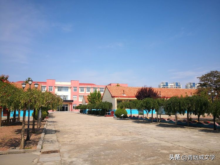 俺这是要跑到哪儿去(童年往事)