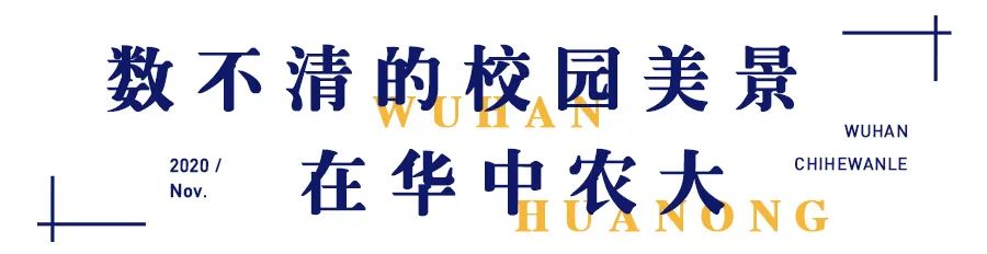 又是全国第一！华中农业大学，全体武汉人的骄傲