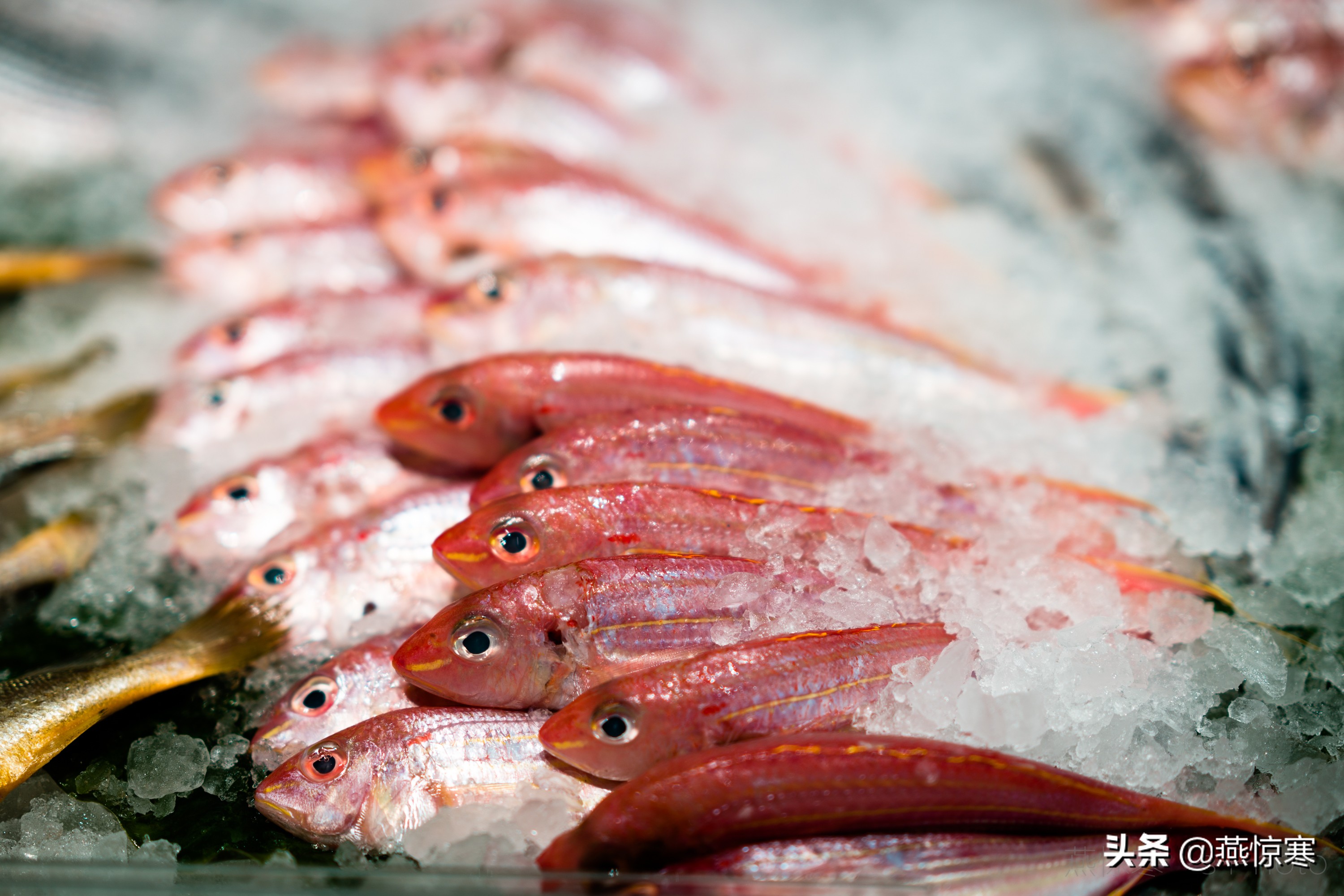 盘点一下我这些年用过的相机,回顾我用过的数码相机