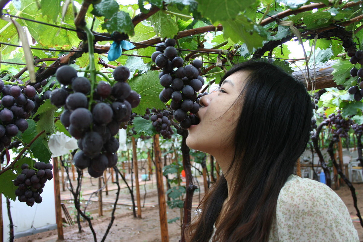 立秋后这3种水果最好不要买,立秋后这三种水果尽量少吃