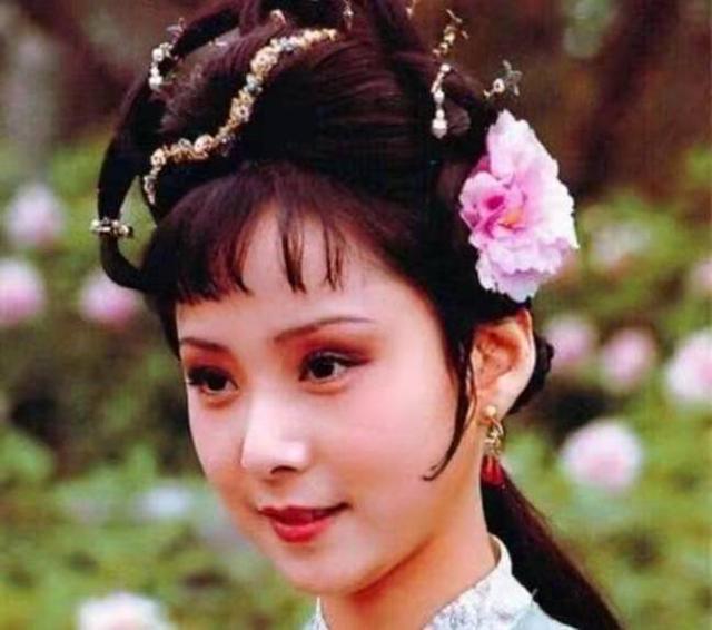 芙蓉女儿诔的芙蓉是什么花,红楼梦芙蓉女儿诔解说带注音