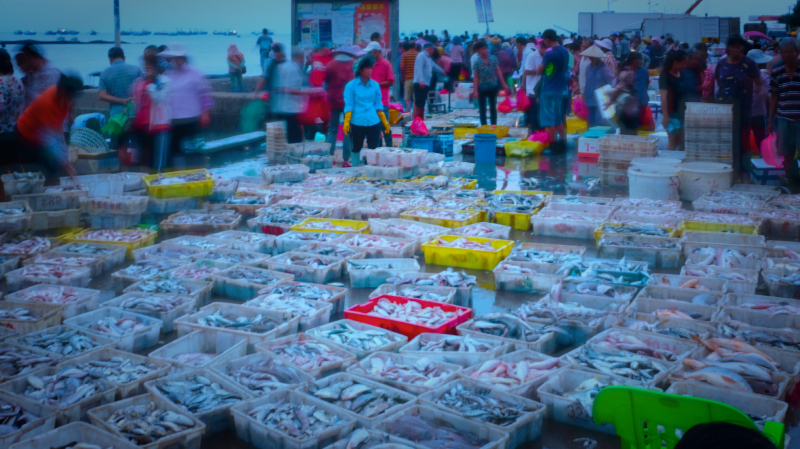 湛江遂溪角头沙旅游攻略,湛江江洪镇旅游攻略