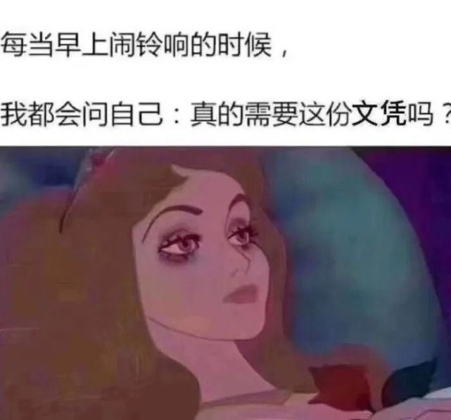 考研热门专业排名前十名学校,考研十大热门学校排行