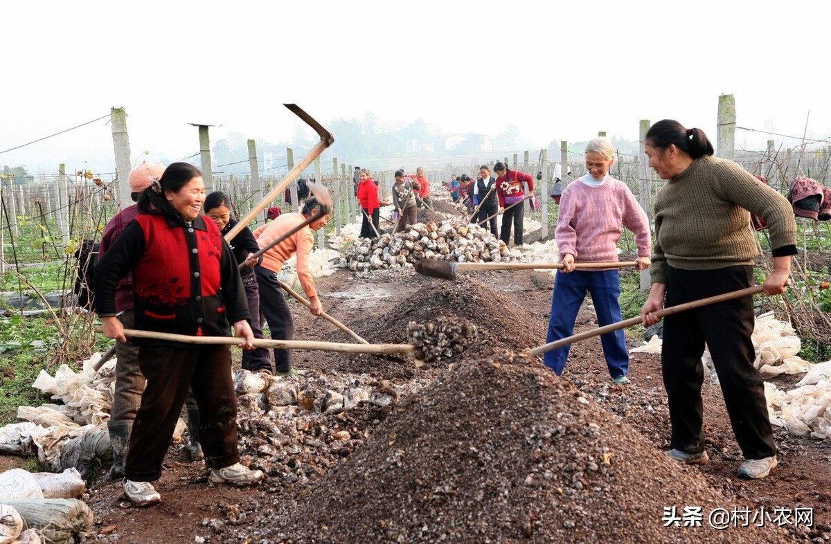 新农村创业适合做的几个生意项目,乡镇致富门路500条免费阅读
