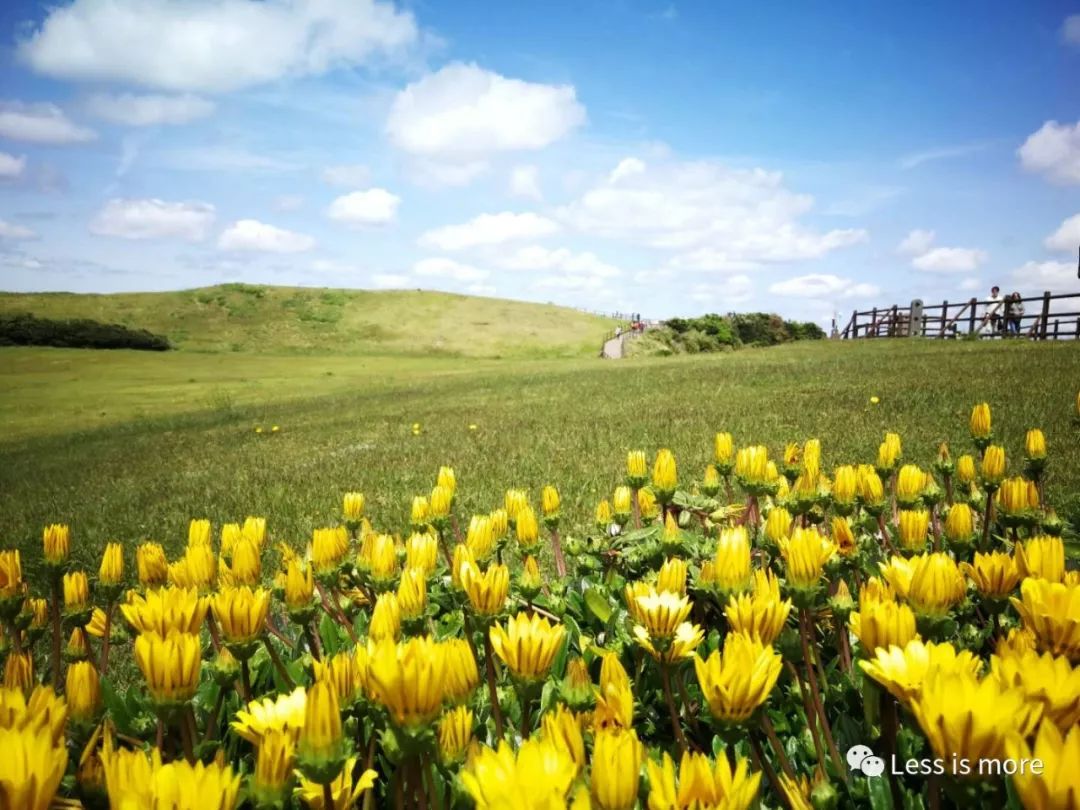 韩国济州岛超详细旅游规划攻略,韩国济州岛攻略自由行