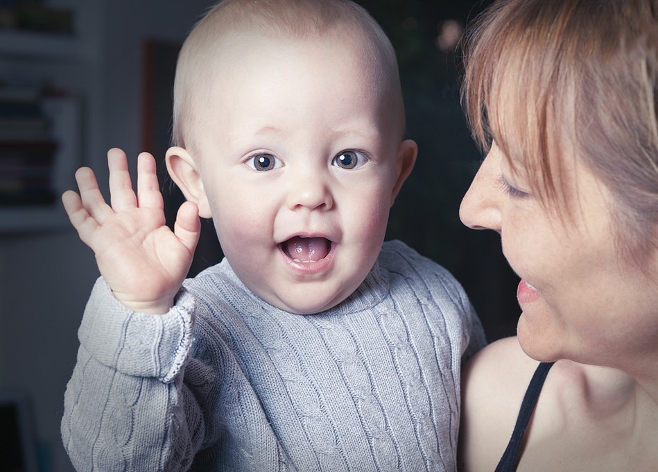 小耳病,小耳病是什么
