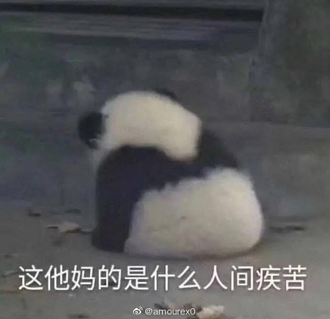 cadconverter转换器怎么用,cad转换器高版本转换低版本cad