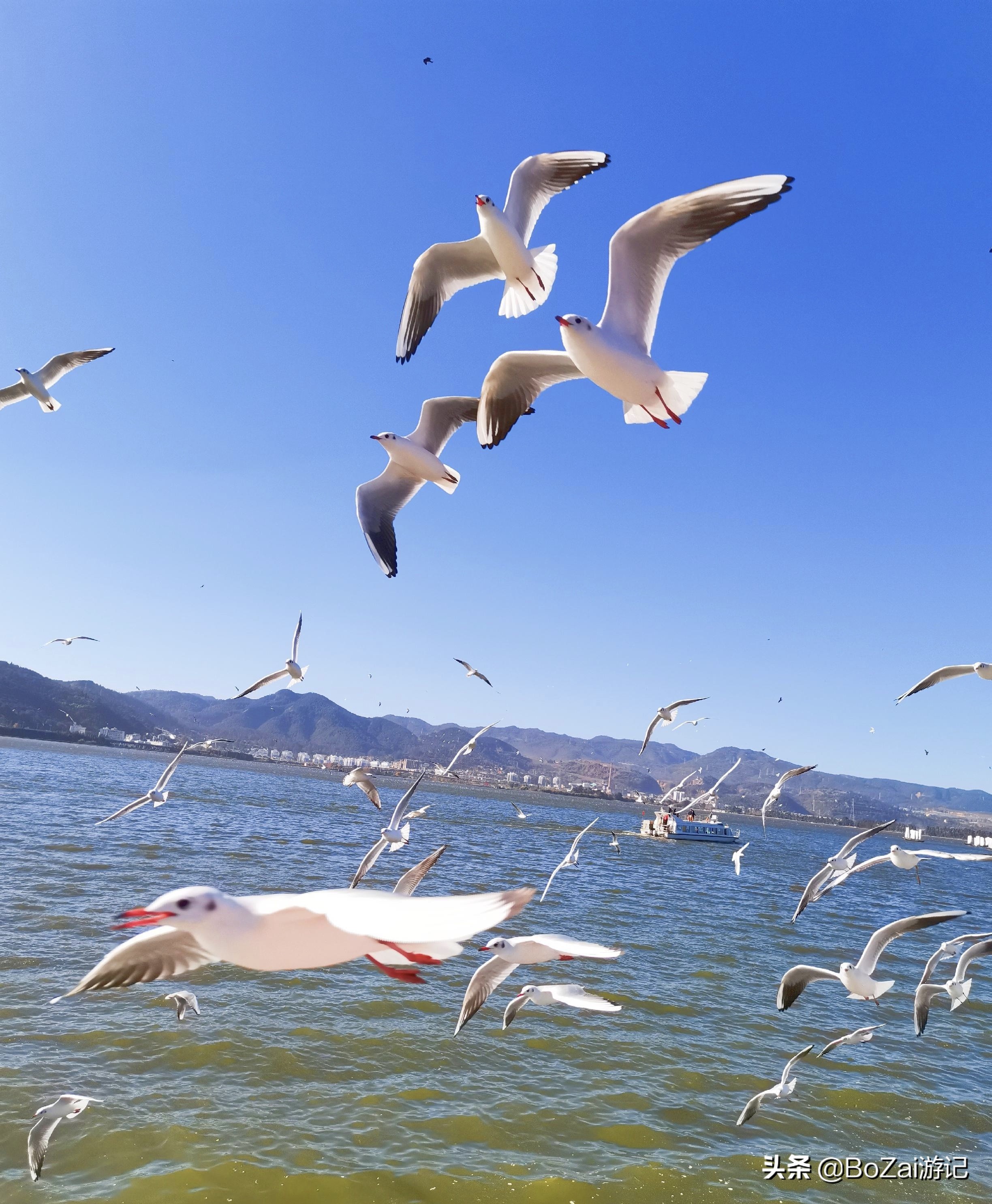 云南旅游攻略最佳线路洱海,到云南旅游必去景点推荐