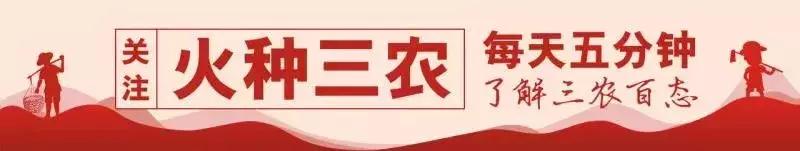 沙糖桔低迷句子,今年年后沙糖桔行情会有好转吗