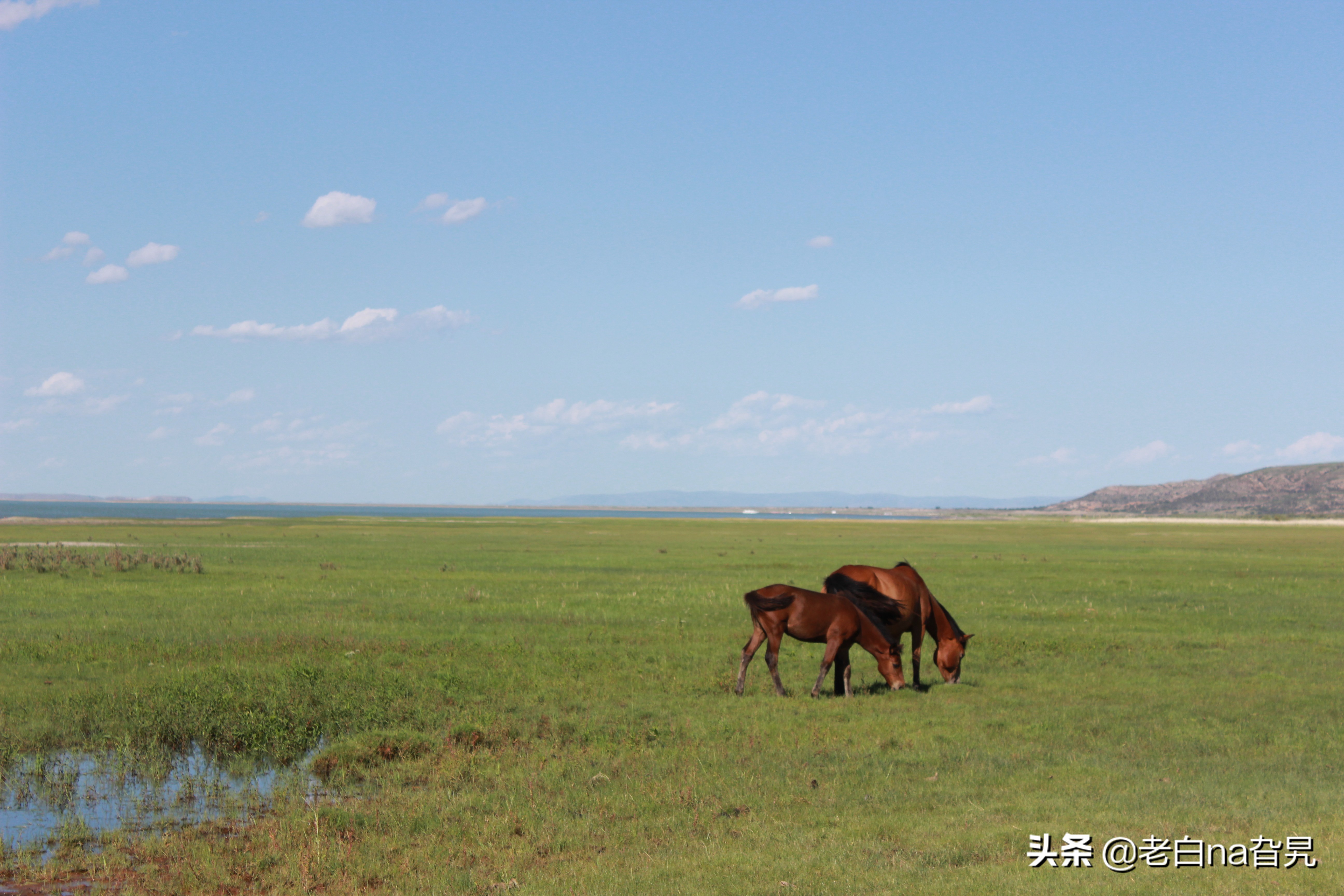 达里诺尔湖早上的风景,达里诺尔湖四大名湖
