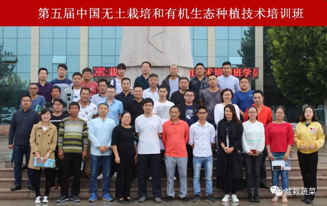 无土栽培和土壤种植技术研究所,农业无土栽培技术培训
