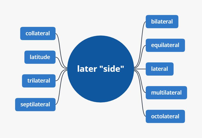 词根turbulent,副词later的用法