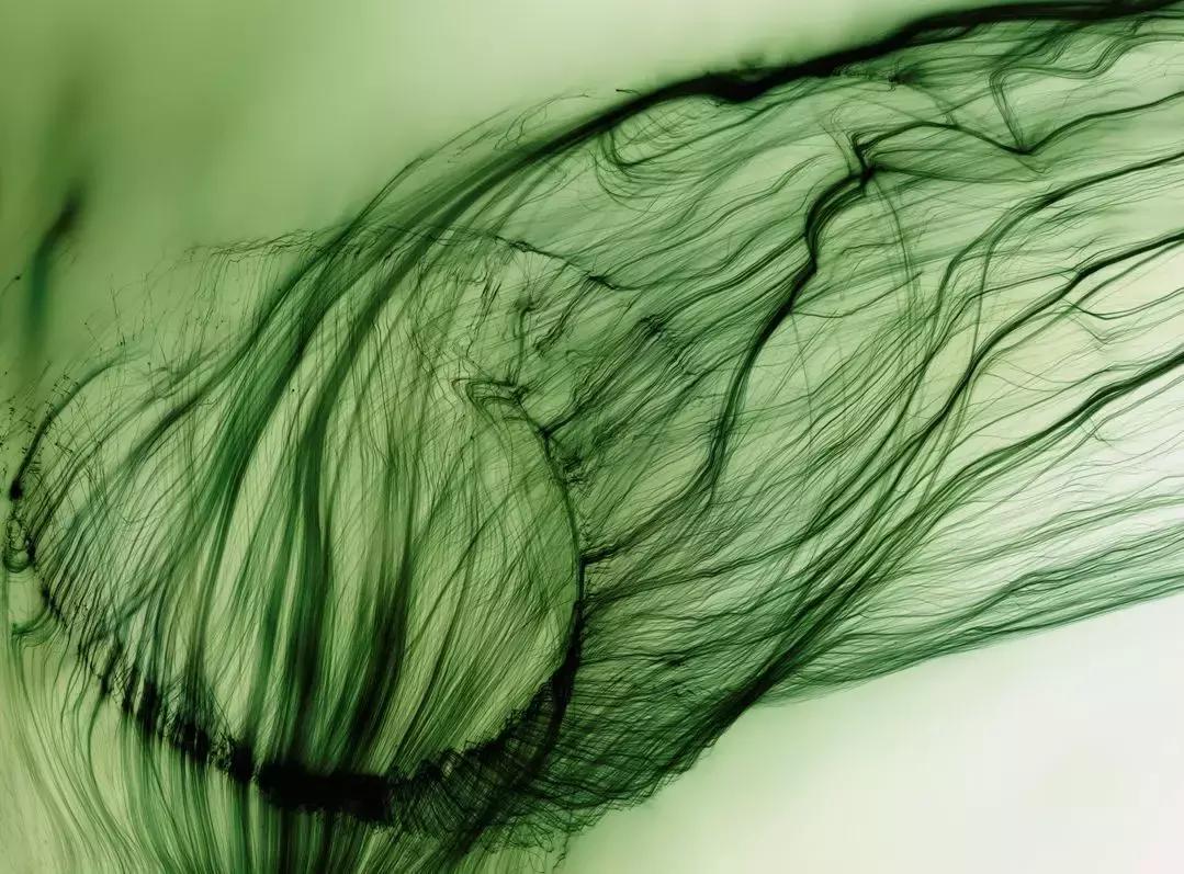 杰作是谁变的,杰作的诞生系列