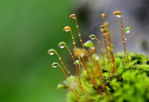 蚌埠田家炳中学,安徽省蚌埠市田家炳中学