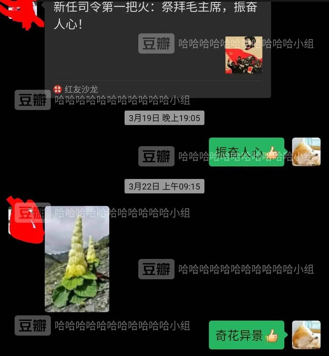 “教你怎么和家里的长辈微信聊天？”这操作太骚了！