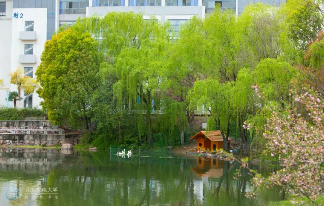 南京邮电大学中国科学技术大学,江苏省南京邮电大学专升本