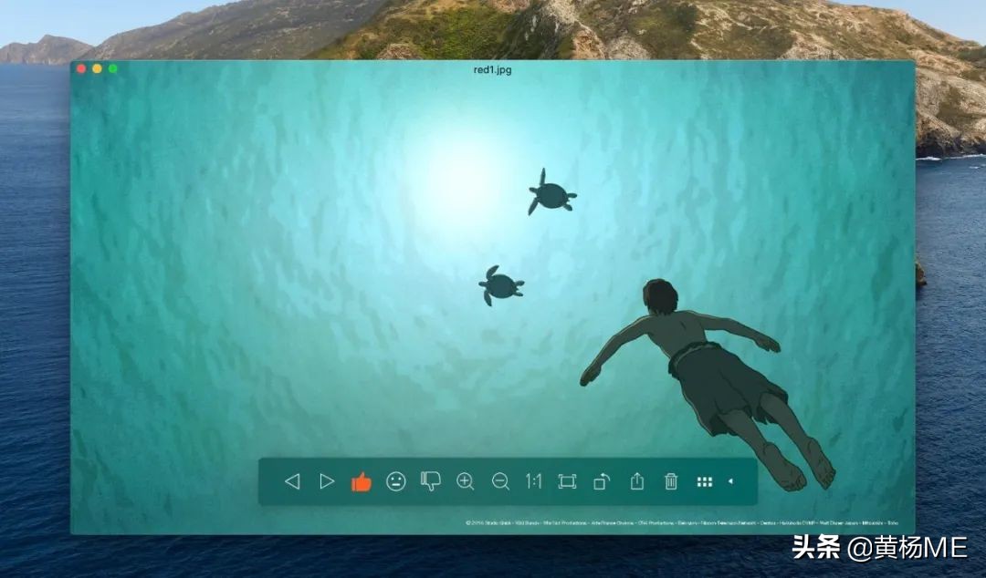 macos上好用的免费看图软件,mac上类似2345看图王的软件