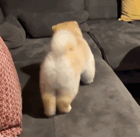 荒野健康循环训练视频,战绳提高心肺功能的训练