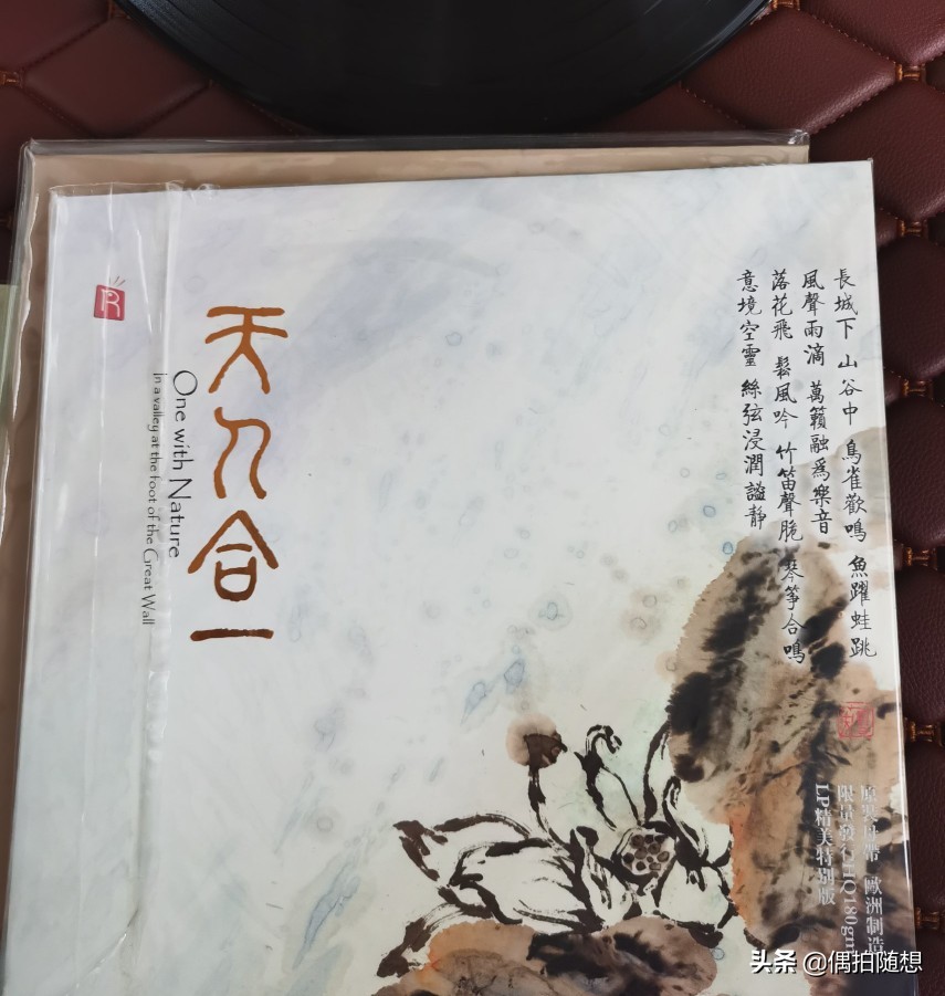 喜欢音乐到极致的人,喜欢音乐和你仅此而已